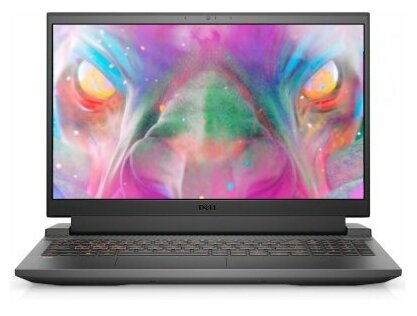 Ноутбук Dell Inspiron G5 15-5500